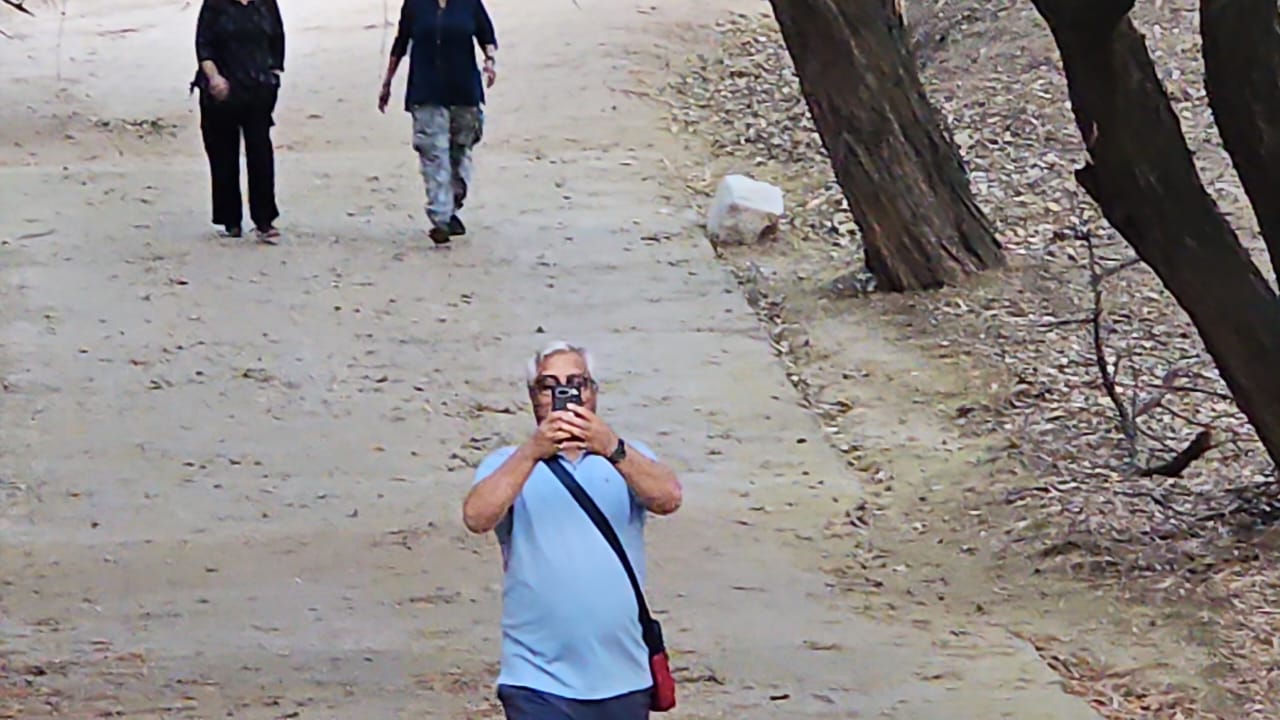 Morning walk, at lake nature trail